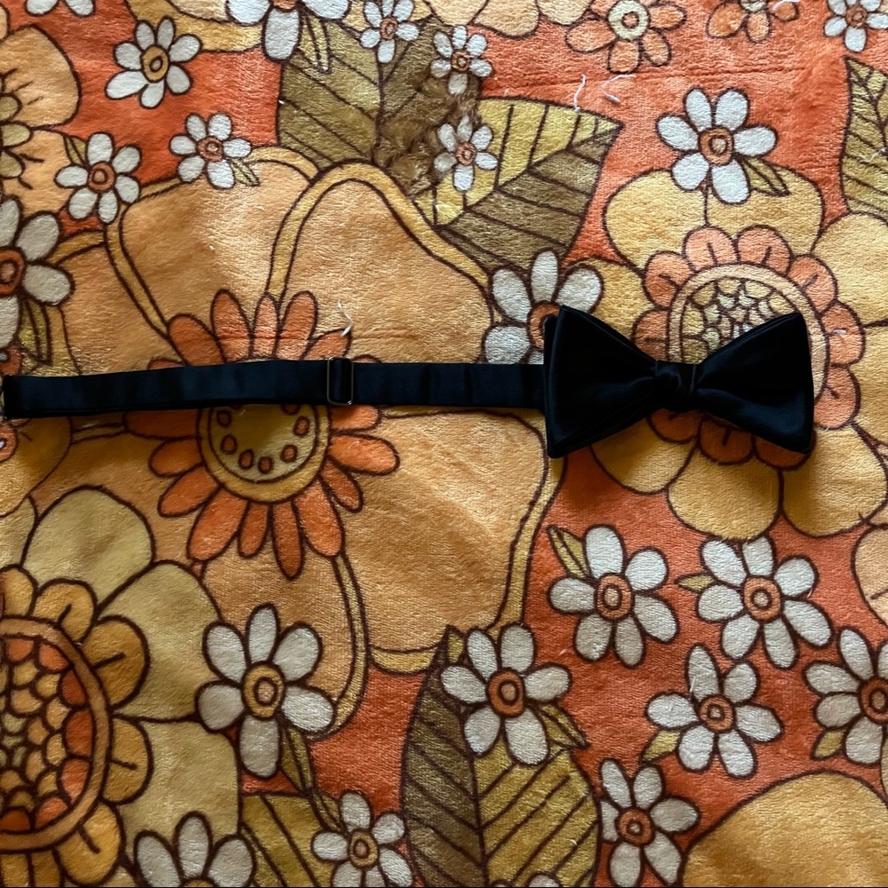 Robert Talbott pre-tied adjustable Silk Bow tie Bow tie